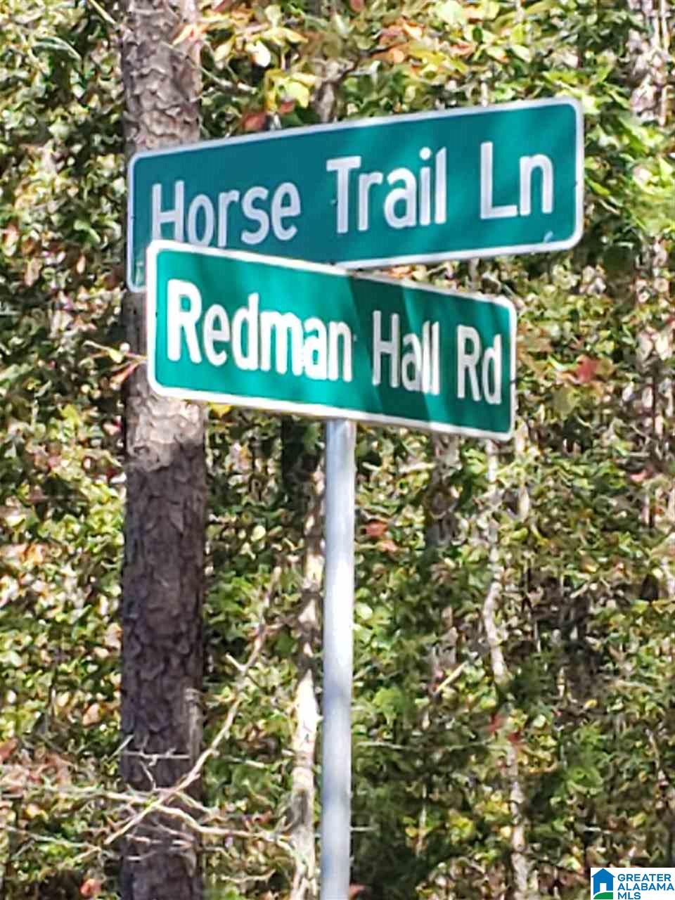 Lot 9 Redman Hall Road, Unit 1 Oneonta, AL 35121 - Photo 2 of 10