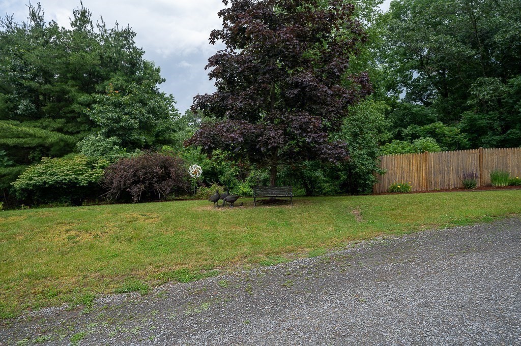 65 Lancaster Road Shirley, MA 01464 - Photo 8 of 42 a view of a yard with an outdoor space