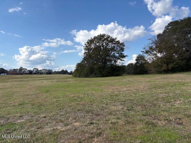 Odom Lane Forest, MS 39074 - Photo 3 of 5 IMG_4433
