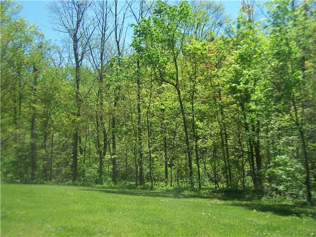 7170 Cook Road Powell, OH 43065 - Photo 18 of 18 Gallery Image 18