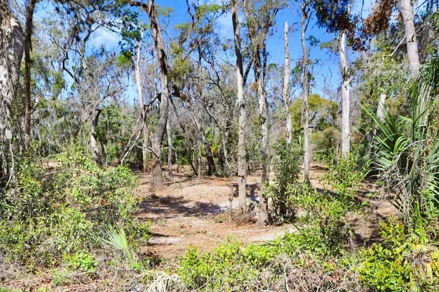 $380,000 | 4868 Rambling River Road, Brandon, FL 33511