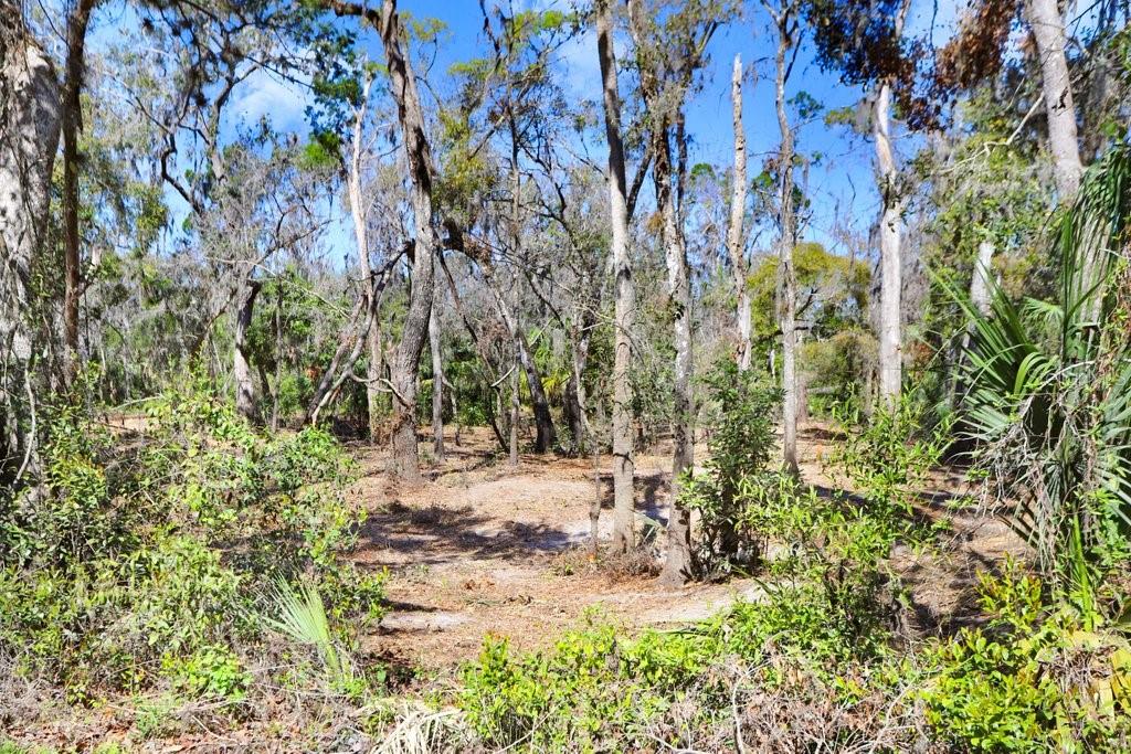 4868 Rambling River Road Brandon, FL 33511 - Photo 42 of 45