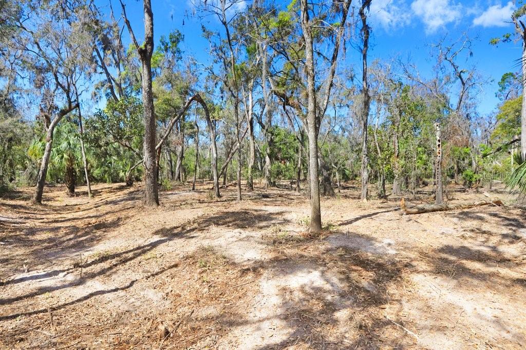 4868 Rambling River Road Brandon, FL 33511 - Photo 45 of 45