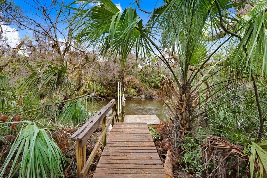 4868 Rambling River Road Brandon, FL 33511 - Photo 6 of 45
