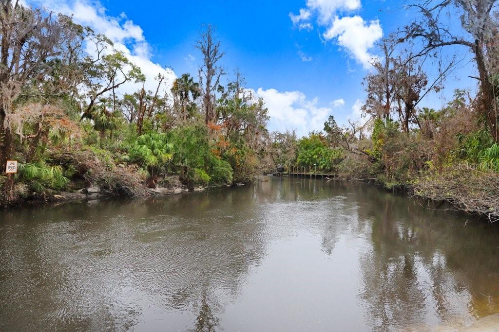 4868 Rambling River Road Brandon, FL 33511 - Photo 7 of 45