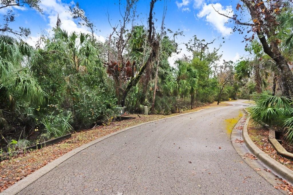 4868 Rambling River Road Brandon, FL 33511 - Photo 9 of 45