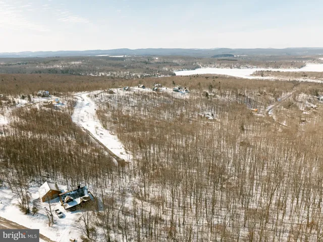 a view of a pathway with a yard