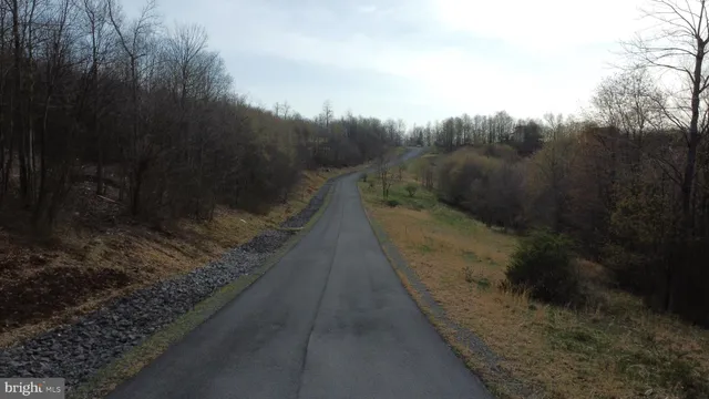 a backyard of a house with a large tree