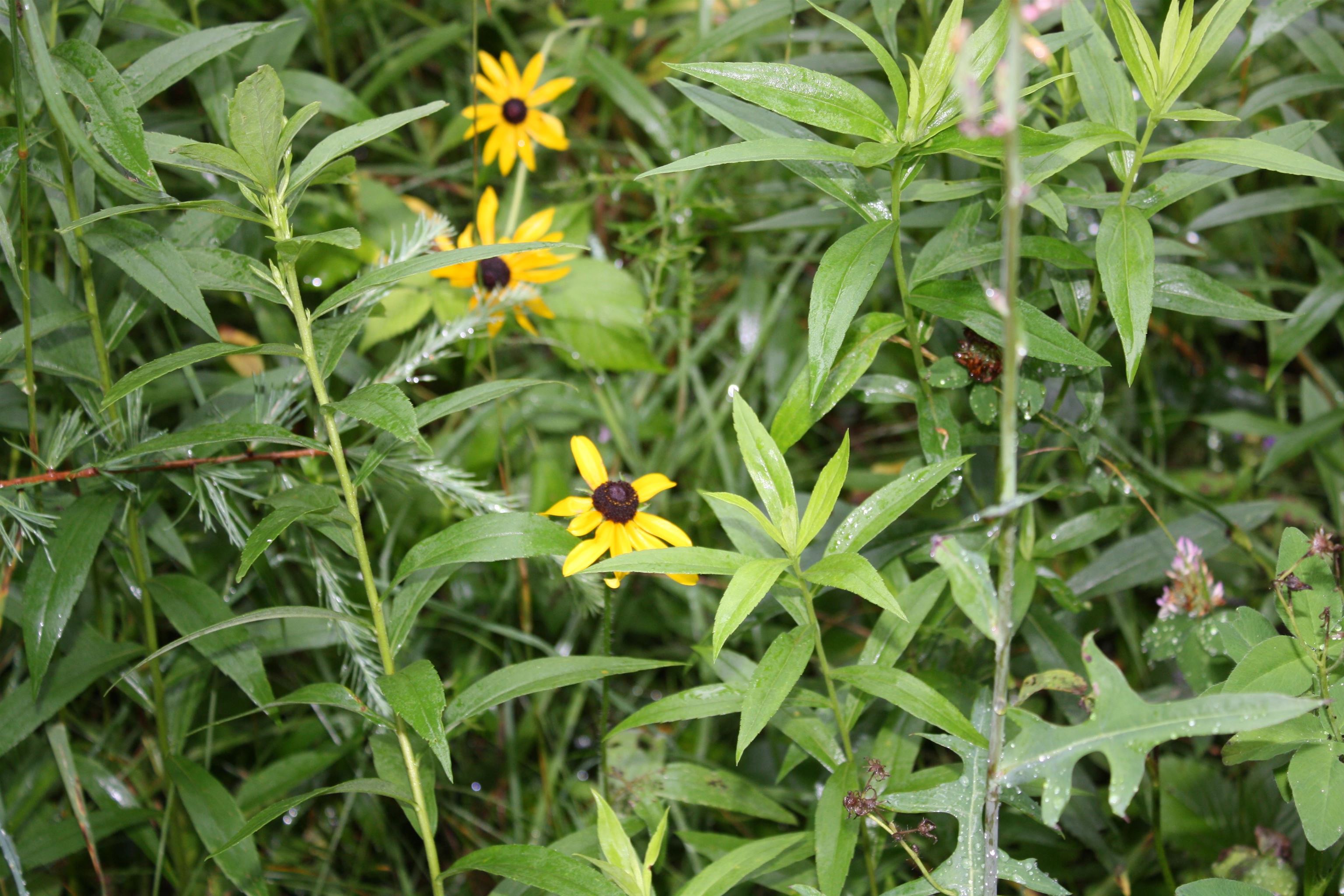 8363 West Amber Lk Road Lac du Flambeau, WI 54538 - Photo 19 of 25