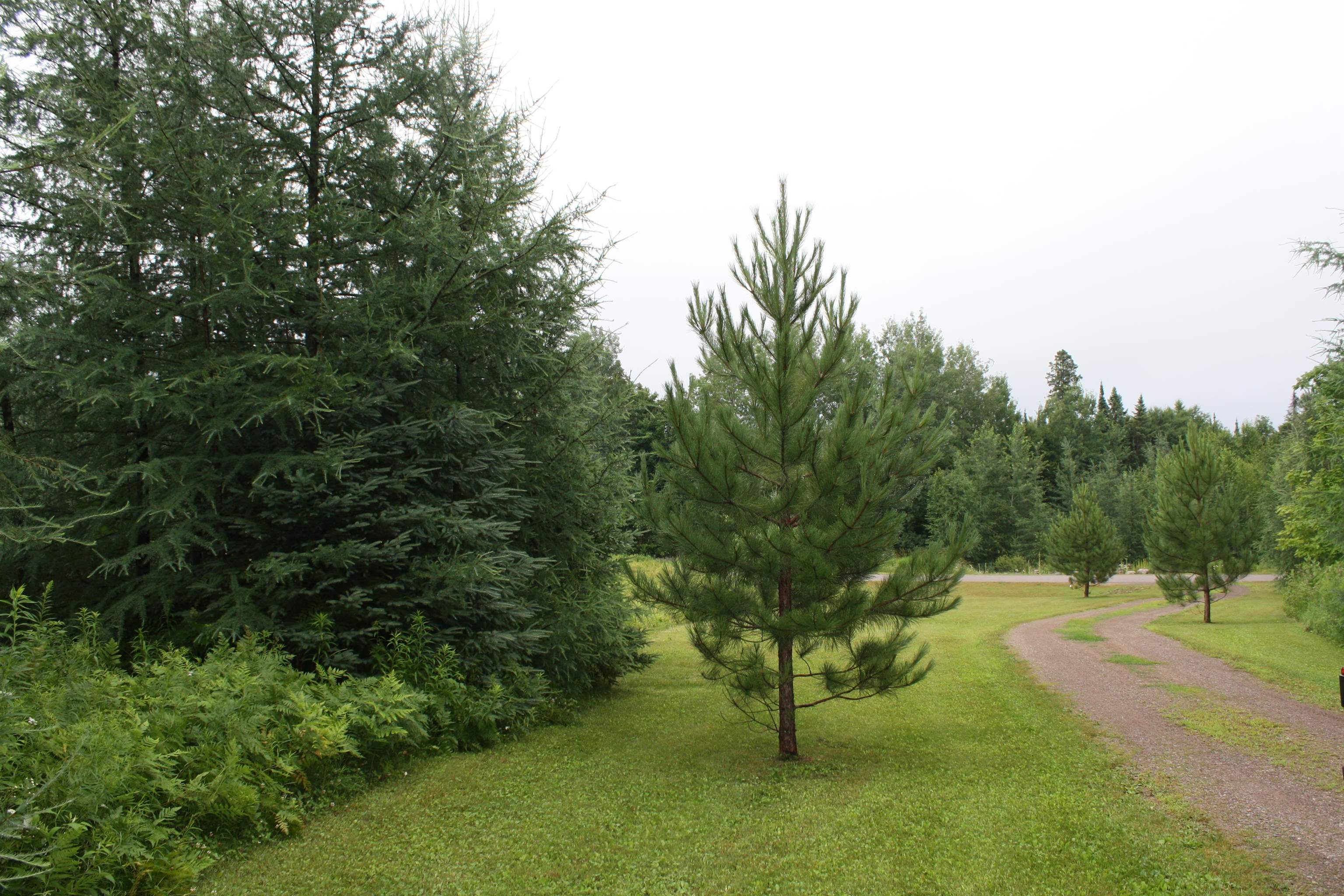 8363 West Amber Lk Road Lac du Flambeau, WI 54538 - Photo 21 of 25