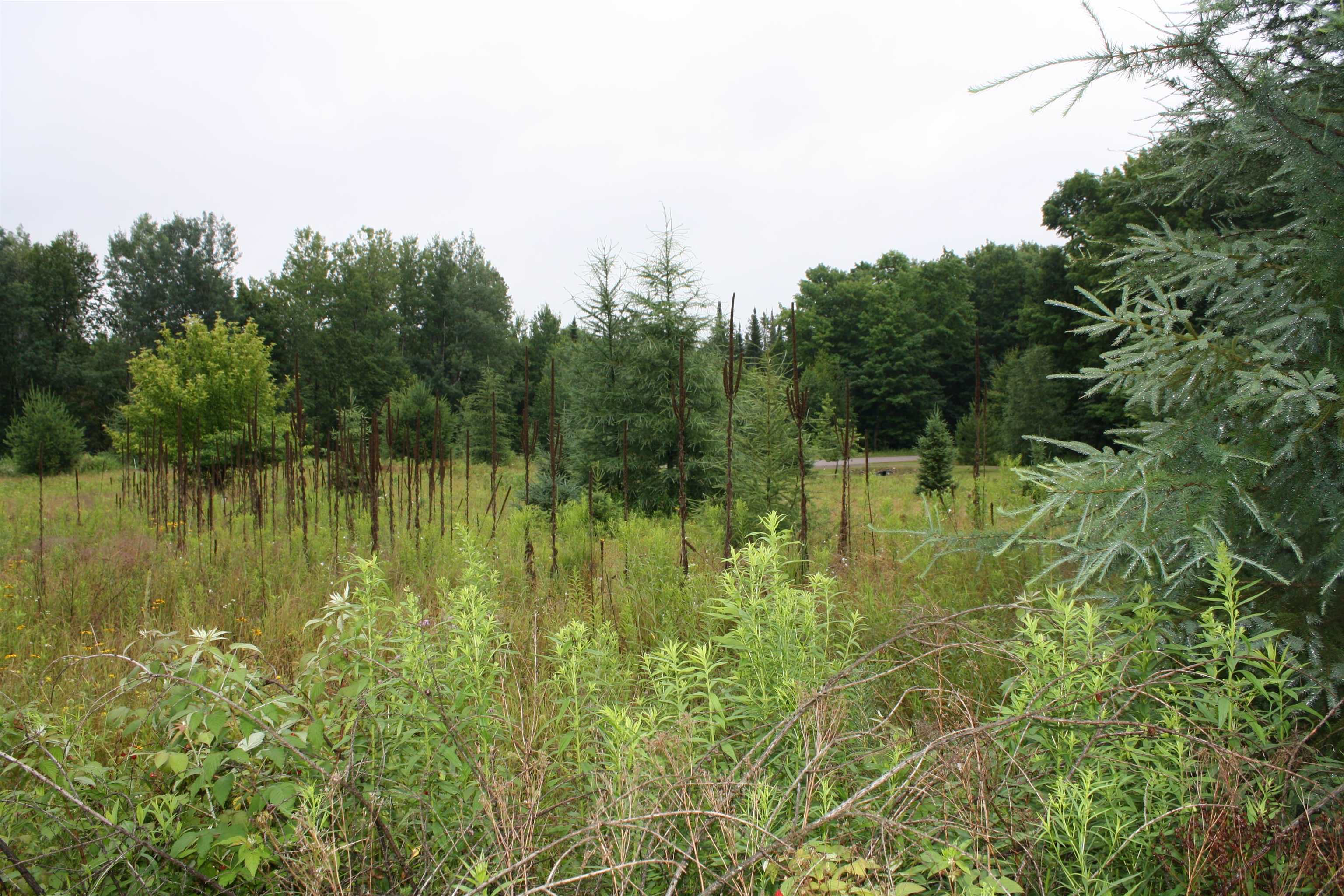 8363 West Amber Lk Road Lac du Flambeau, WI 54538 - Photo 24 of 25