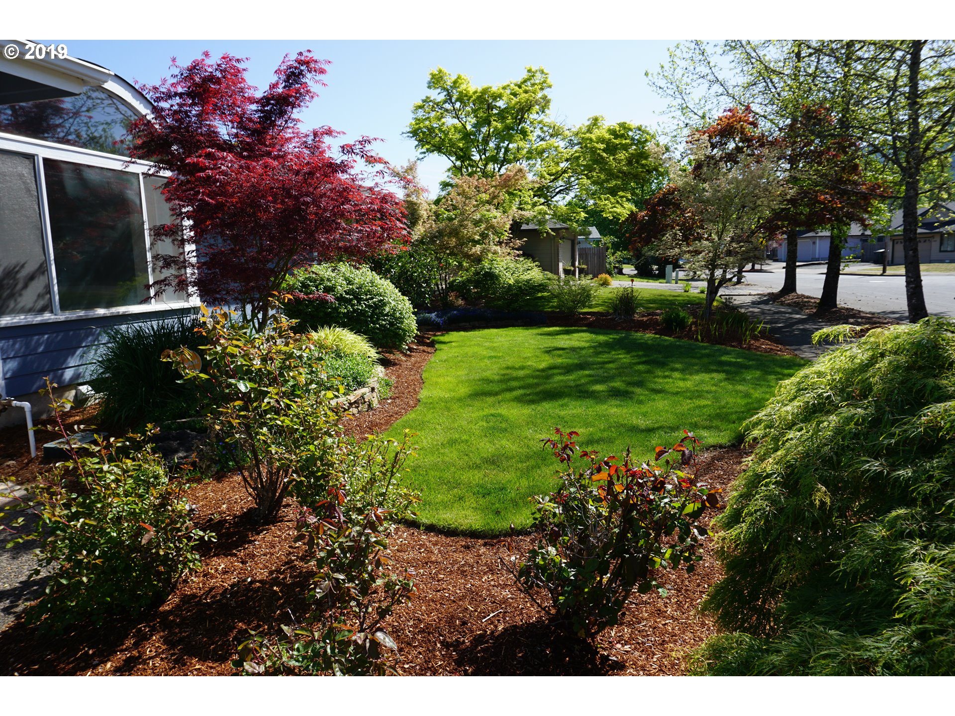 7282 B Street Springfield, OR 97478 - Photo 2 of 27