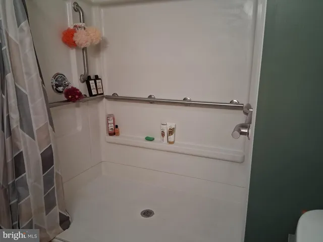 a bathroom with a shower and a toilet