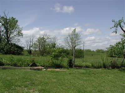 115 Daisy Road Berea, KY 40403 - Photo 14 of 14 Farm land view from the back yard.