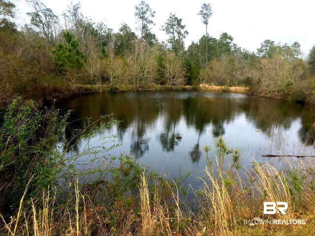 26079 Chatelaine Road Elberta, AL 36530 - Photo 26 of 38 Peaceful Pond