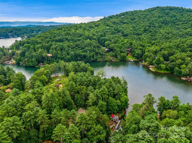 an aerial view of green landscape with trees houses and lake view