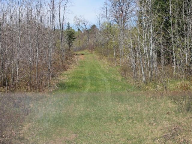19081 Erickson Drive Dunbar, WI 54119 - Photo 49 of 87
