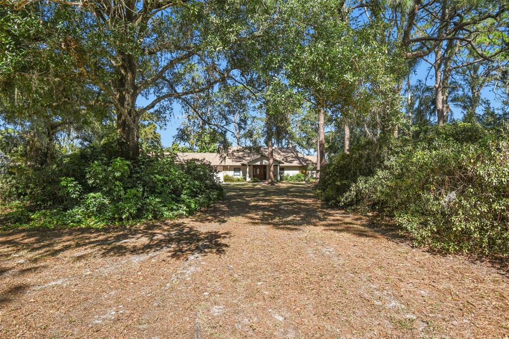 8011 North Mobley Road Odessa, FL 33556 - Photo 17 of 86