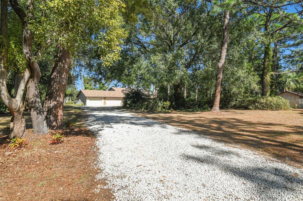 8011 North Mobley Road Odessa, FL 33556 - Photo 18 of 86 a view of road and trees
