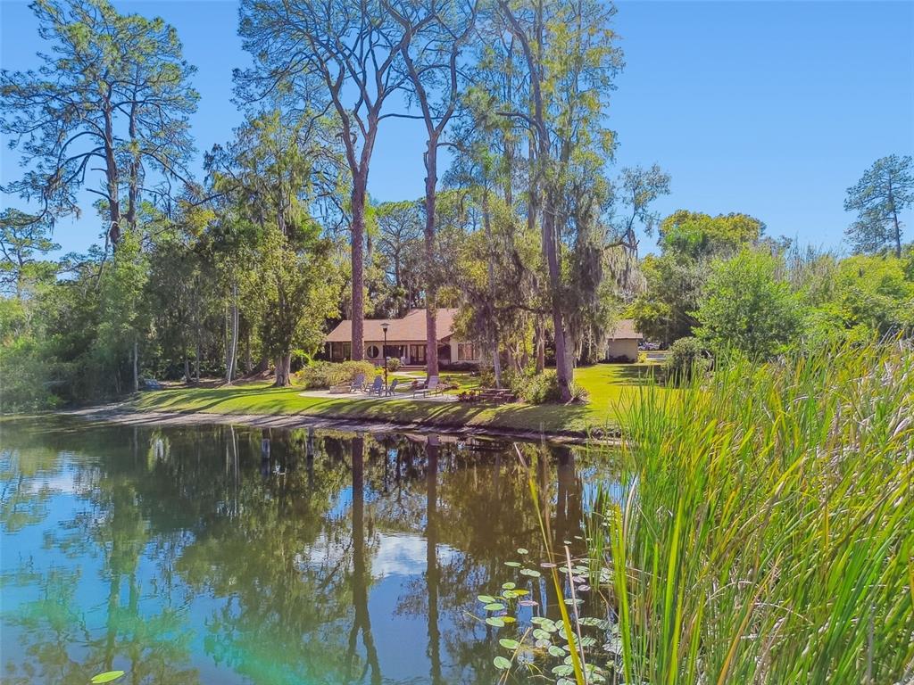 8011 North Mobley Road Odessa, FL 33556 - Photo 3 of 86