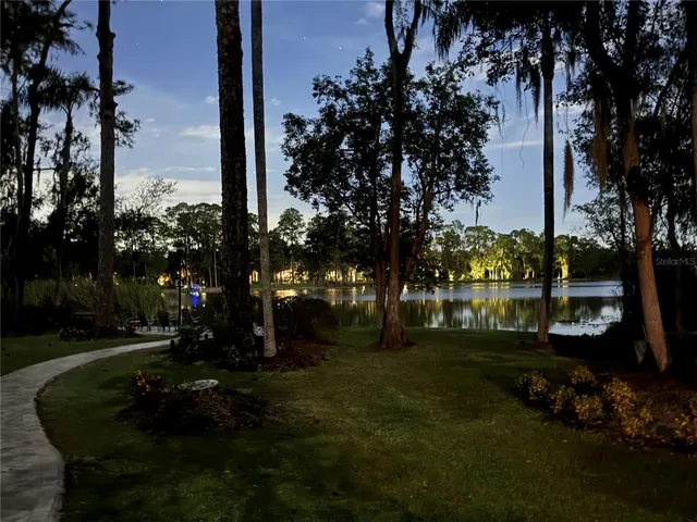 a view of road and trees