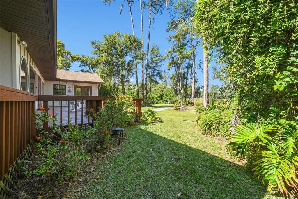 8011 North Mobley Road Odessa, FL 33556 - Photo 67 of 86 a view of a garden with plants and large trees