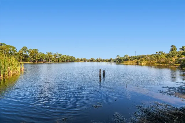 $1,199,900 | 8011 North Mobley Road, Odessa, FL 33556