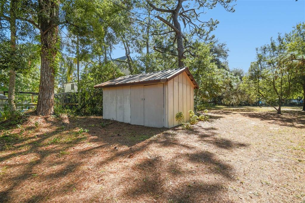 8011 North Mobley Road Odessa, FL 33556 - Photo 78 of 86 a view of a backyard with a tree