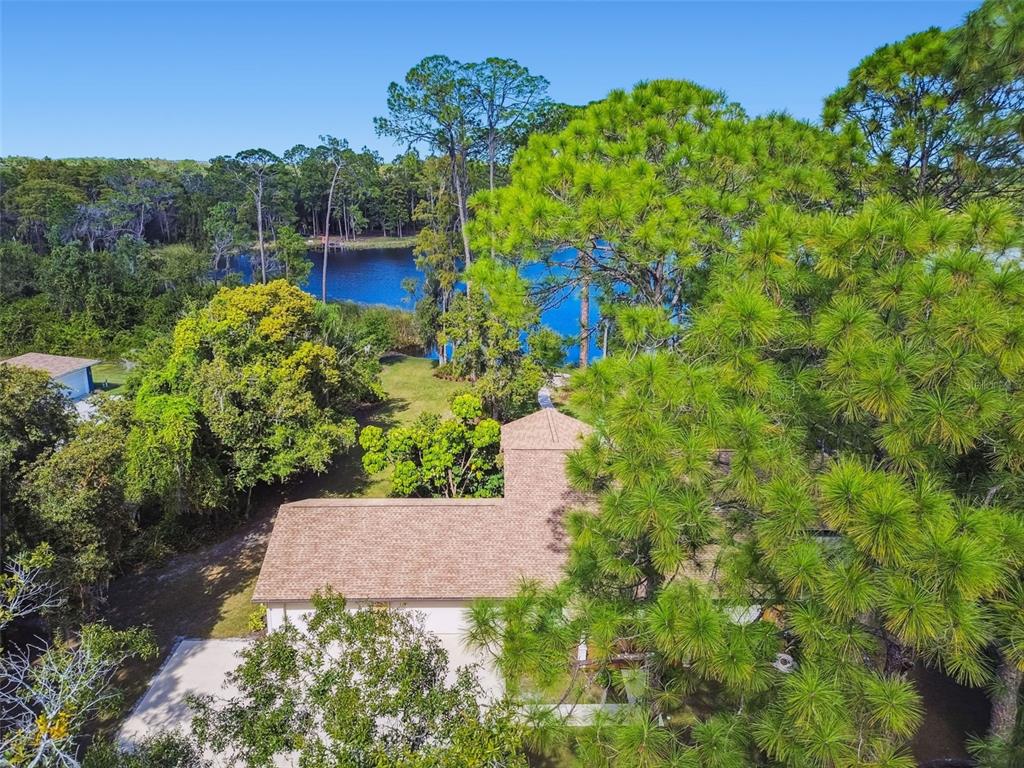 8011 North Mobley Road Odessa, FL 33556 - Photo 80 of 86 a view of a garden with an outdoor seating