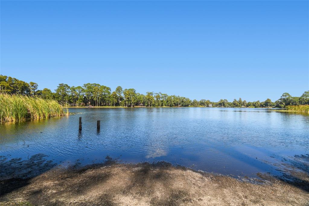 8011 North Mobley Road Odessa, FL 33556 - Photo 10 of 86