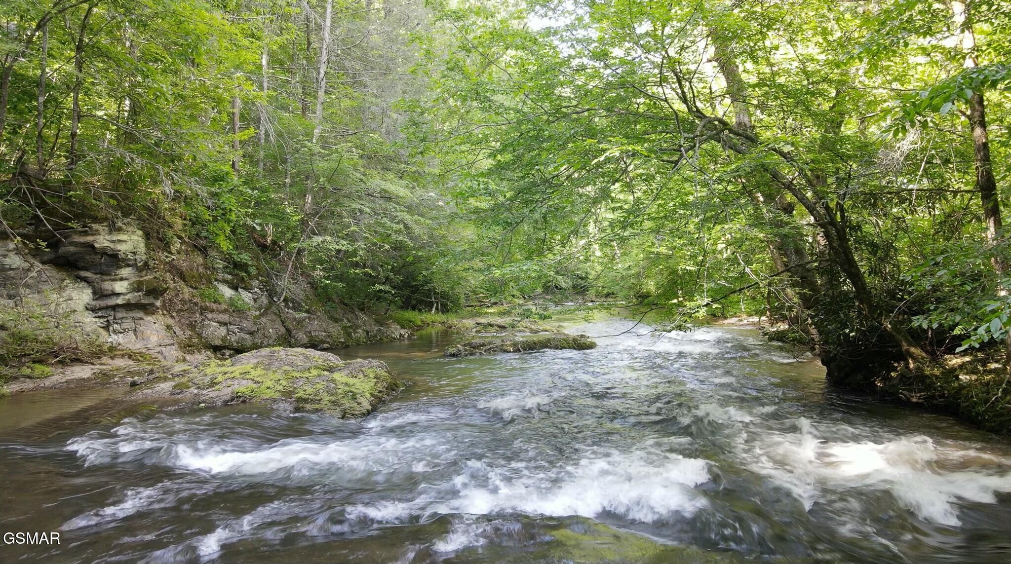 0 Little Bear Road Cosby, TN 37722 - Photo 18 of 46 Gallery Image 18