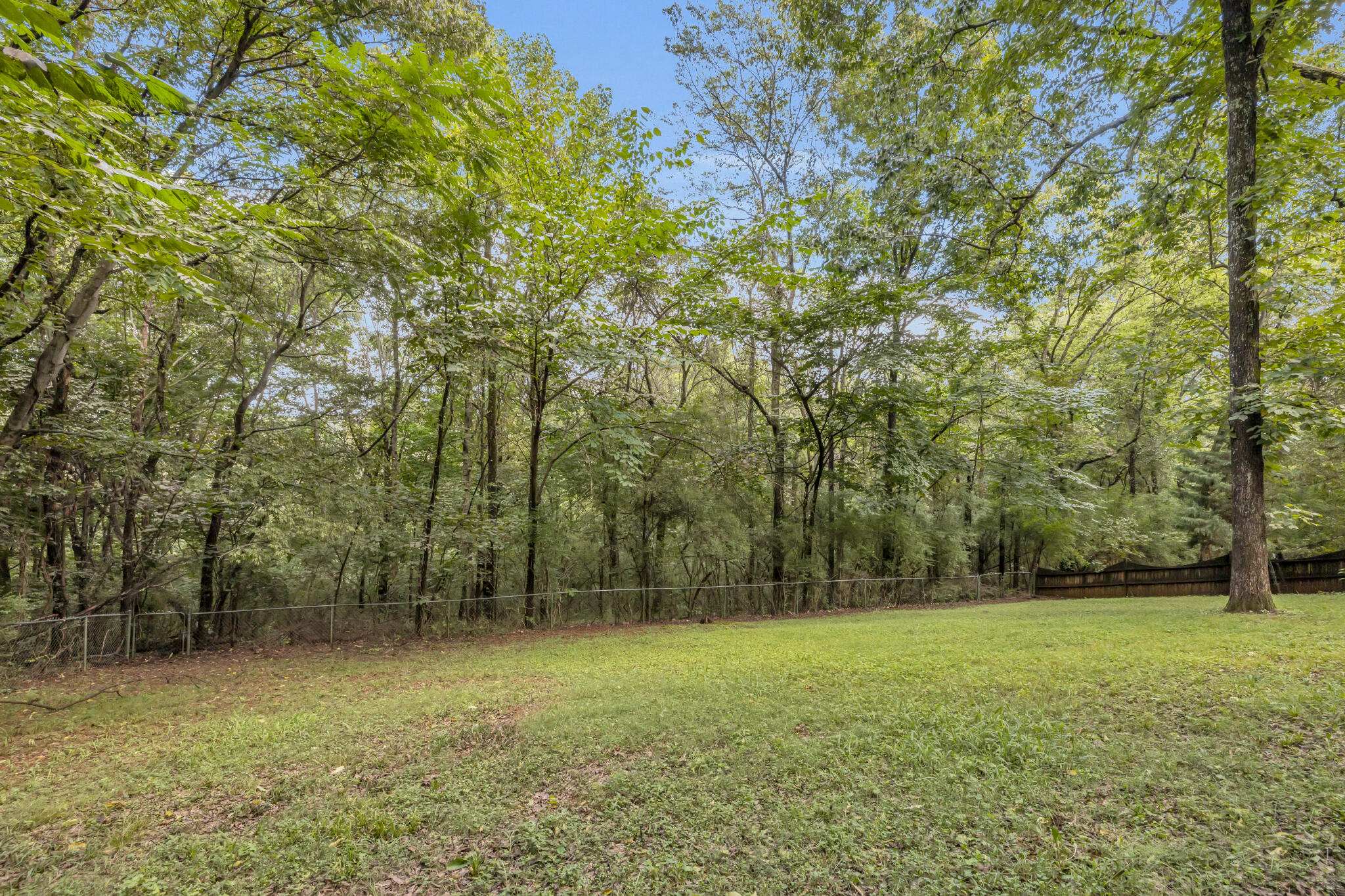 6360 Fairview Road Hixson, TN 37343 - Photo 30 of 33 4T1A0793