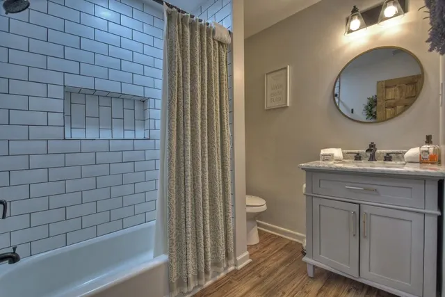 a bathroom with a sink mirror vanity and a toilet