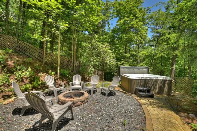 a close up of a tree in a garden