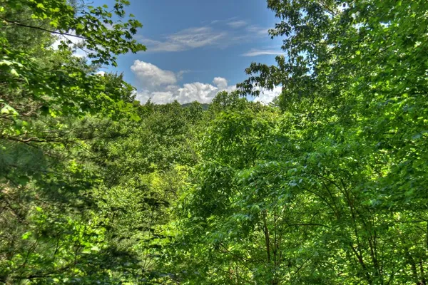 $1,800 | 92 Cherry Lake Drive, Blue Ridge, GA 30513