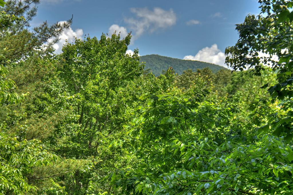 92 Cherry Lake Drive Blue Ridge, GA 30513 - Photo 38 of 39