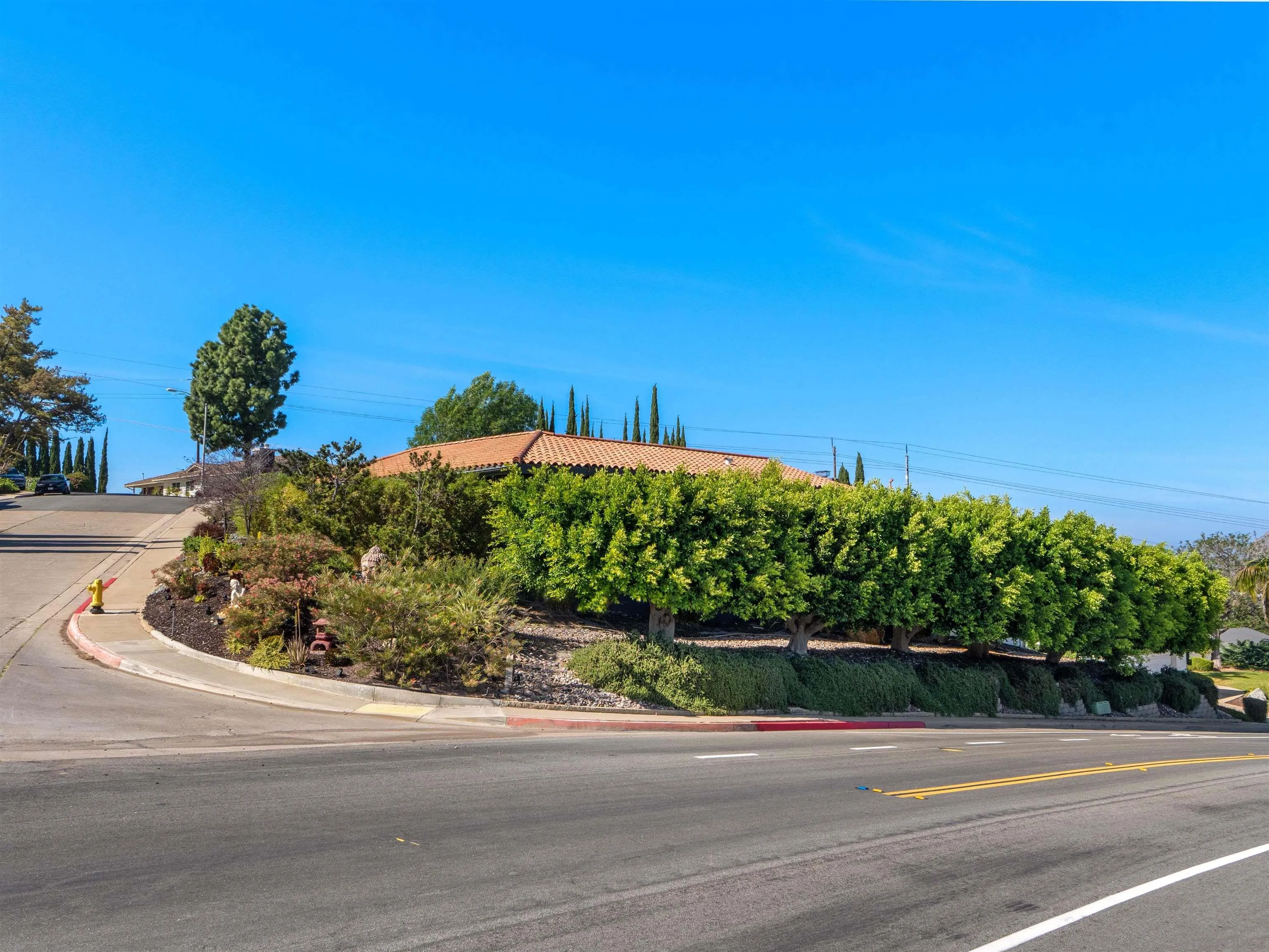 6315 Ridge Manor Avenue San Diego, CA 92120 - Photo 35 of 45 a view of a garden with a pathway
