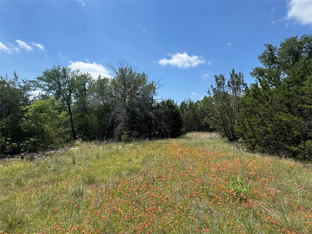 3233 Deer Path Lane Weatherford, TX 76085 - Photo 14 of 40