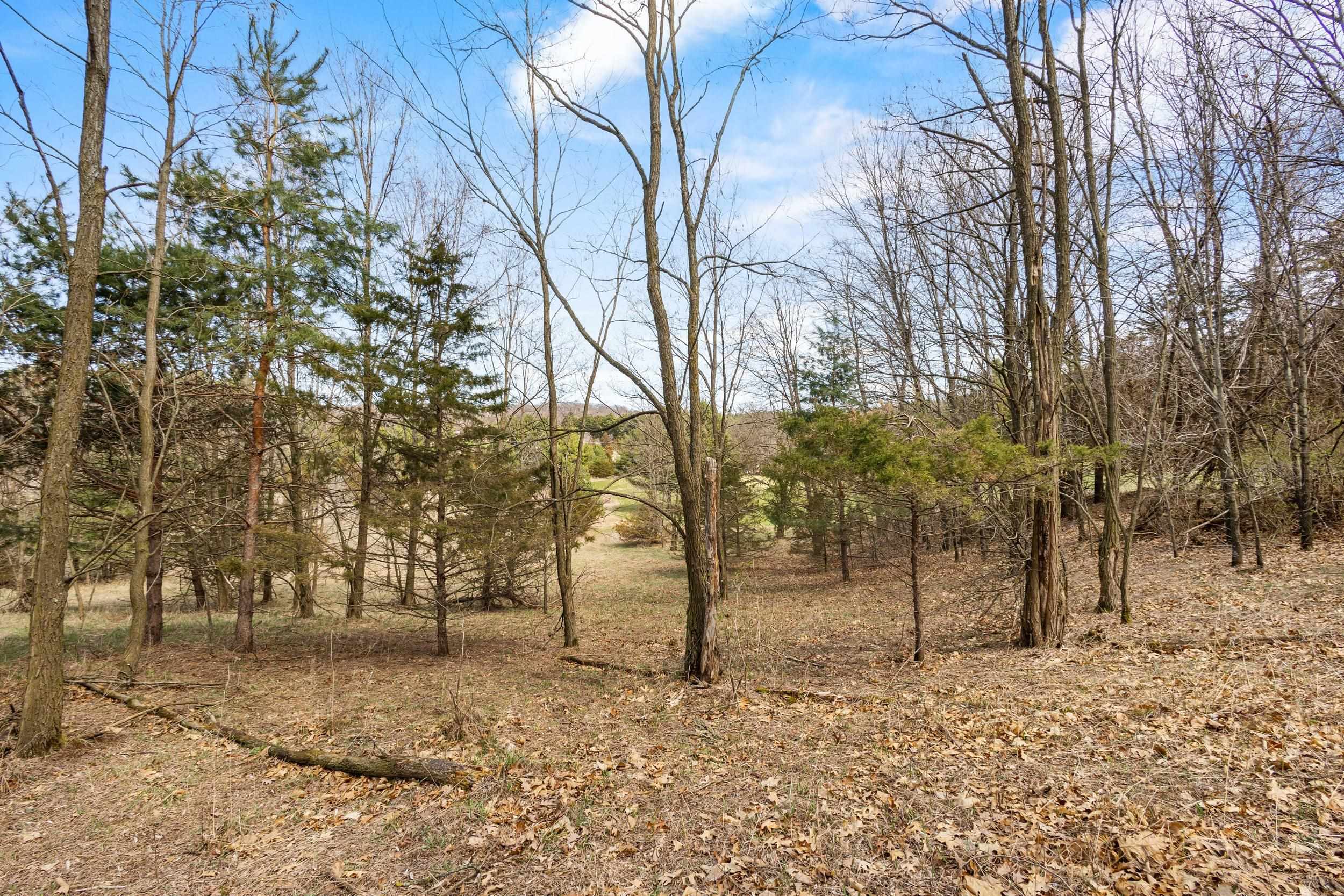 Lot 53 Eagle Montello, WI 53949 - Photo 22 of 23