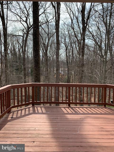7931 Orange Plank Road Springfield, VA 22153 - Photo 15 of 28 Gallery Image 15