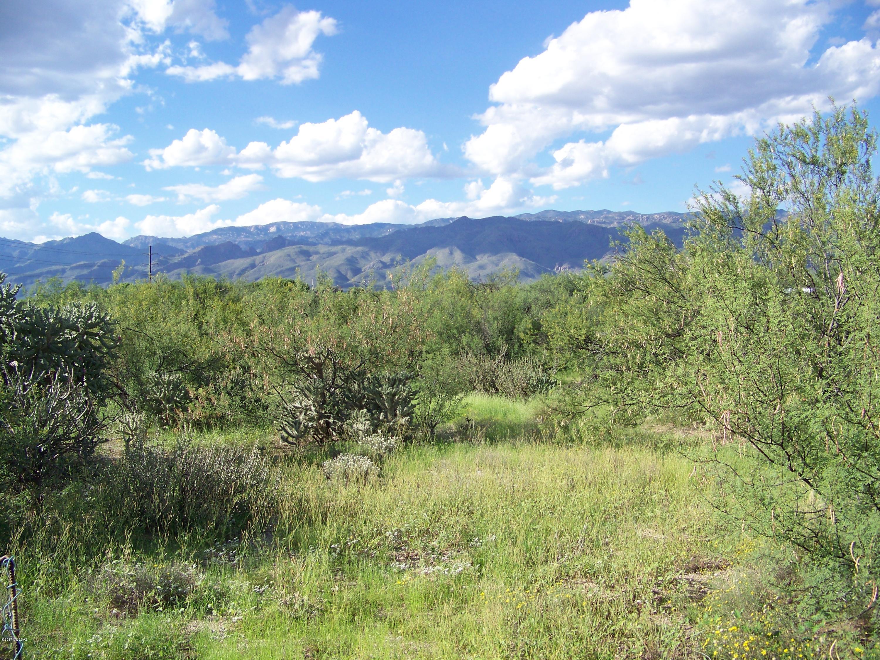 1326 North Tanque Verde Loop Road, Unit 1 Tucson, AZ 85749 - Photo 38 of 47
