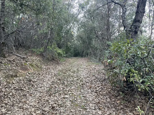 $29,000 | 0 Defender Grade Road, Pioneer, CA 95666