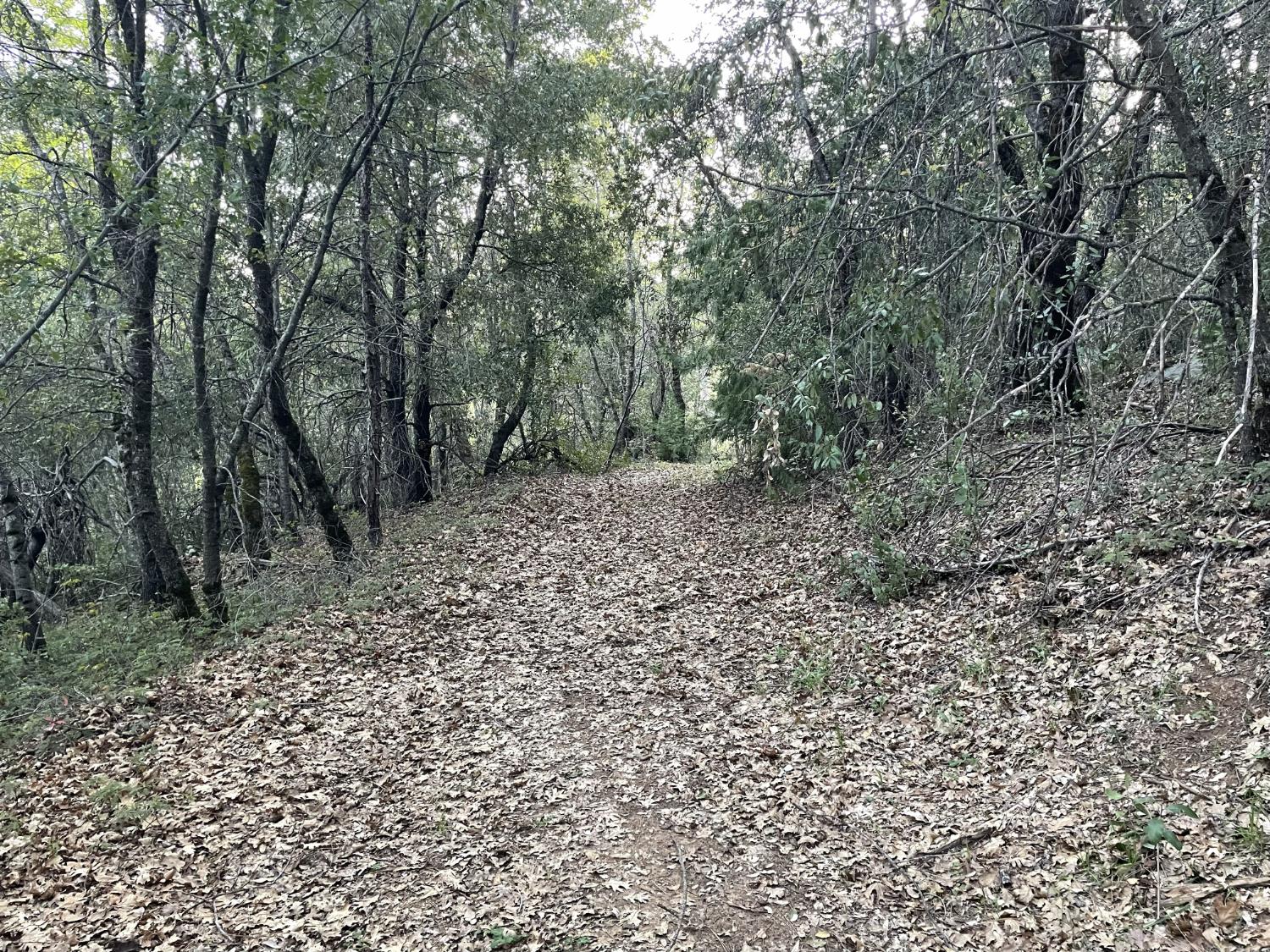 0 Defender Grade Road Pioneer, CA 95666 - Photo 2 of 10