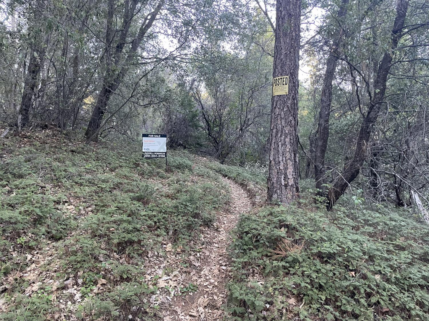 0 Defender Grade Road Pioneer, CA 95666 - Photo 3 of 10