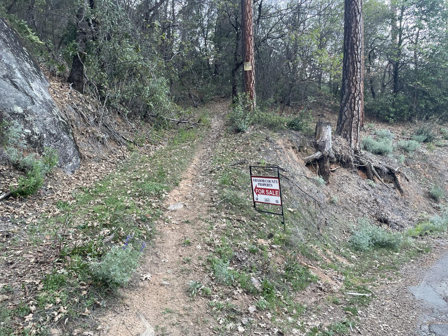 0 Defender Grade Road Pioneer, CA 95666 - Photo 6 of 10