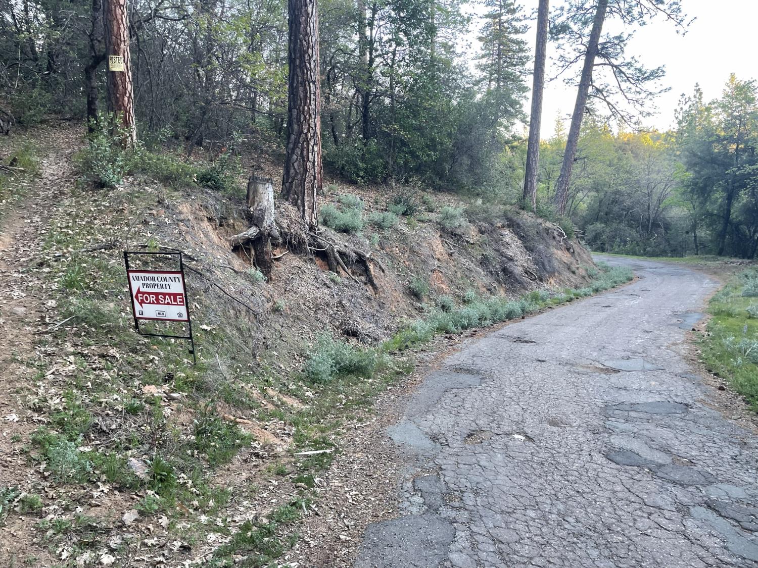 0 Defender Grade Road Pioneer, CA 95666 - Photo 7 of 10