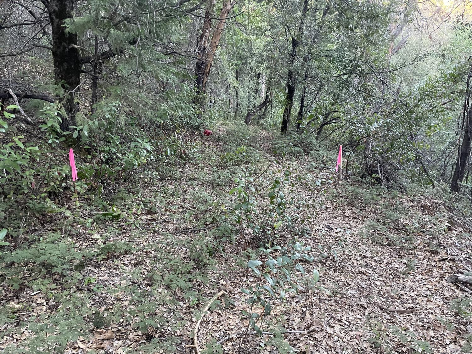 0 Defender Grade Road Pioneer, CA 95666 - Photo 8 of 10