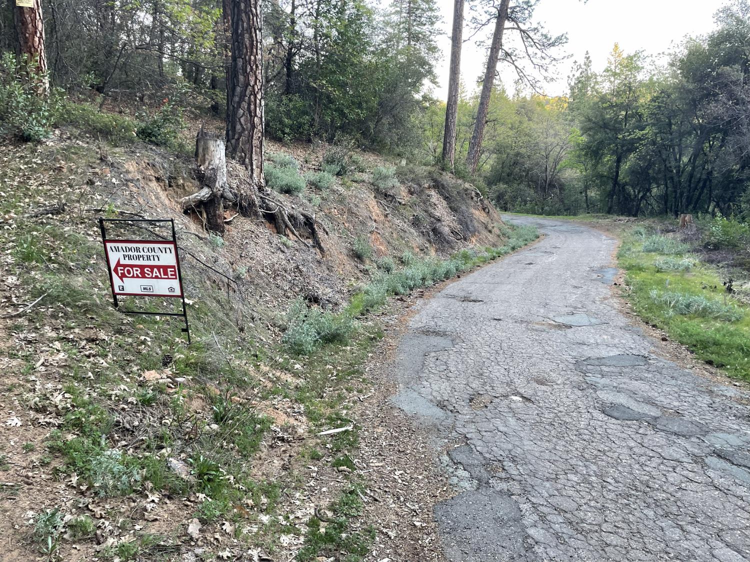 0 Defender Grade Road Pioneer, CA 95666 - Photo 10 of 10