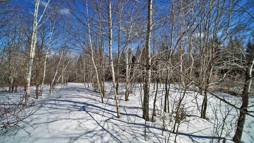 127 White Road Ludlow, ME 04730 - Photo 31 of 38 land-me-ludlow-white-road