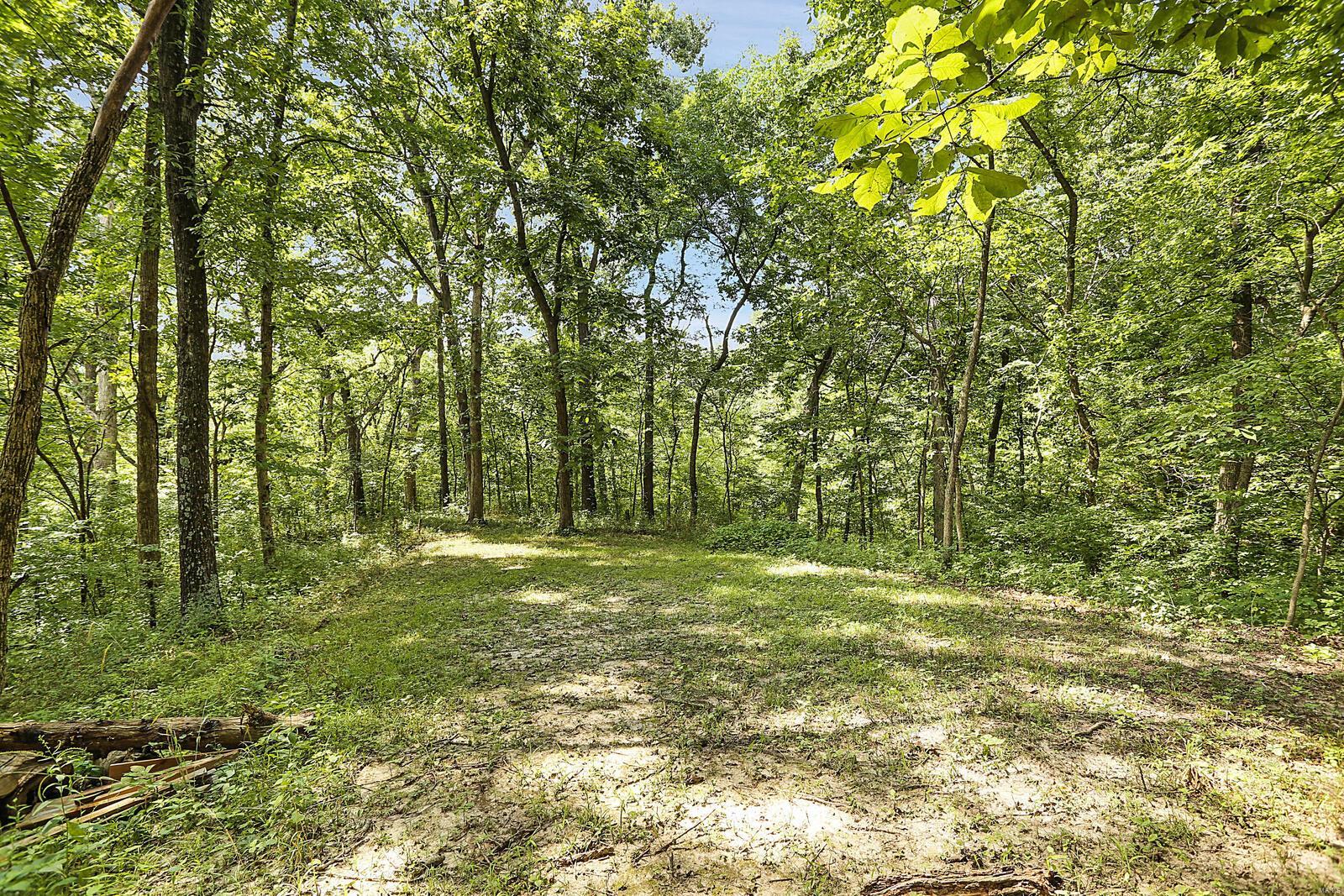 445 Piggott Ridge Lane Alton, IL 62002 - Photo 39 of 48 Gallery Image 39
